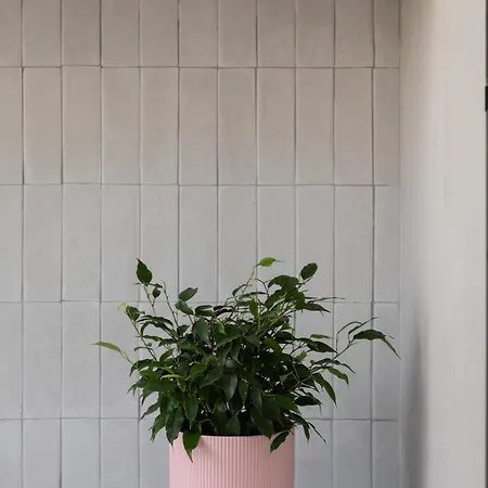 Modern 2br With Outside Furniture - Close To Sliema, Saint Julians & Valletta * Msida